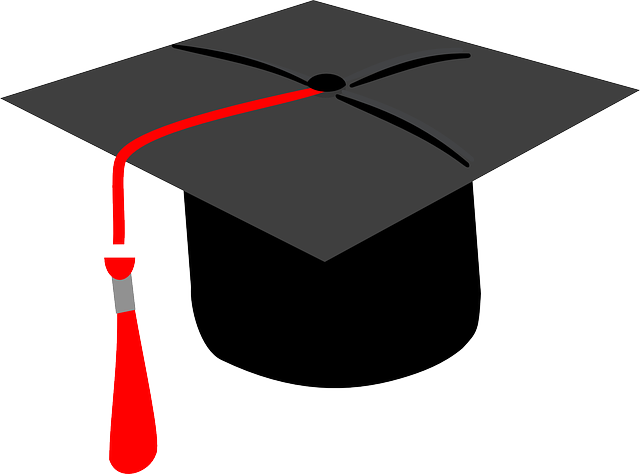 graduate cap of black and red colour